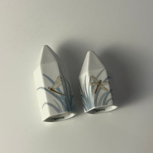 Set: Salz- & Pfefferstreuer Polygon Libelle von Tapio Wirkkala für Rosenthal Studio Line