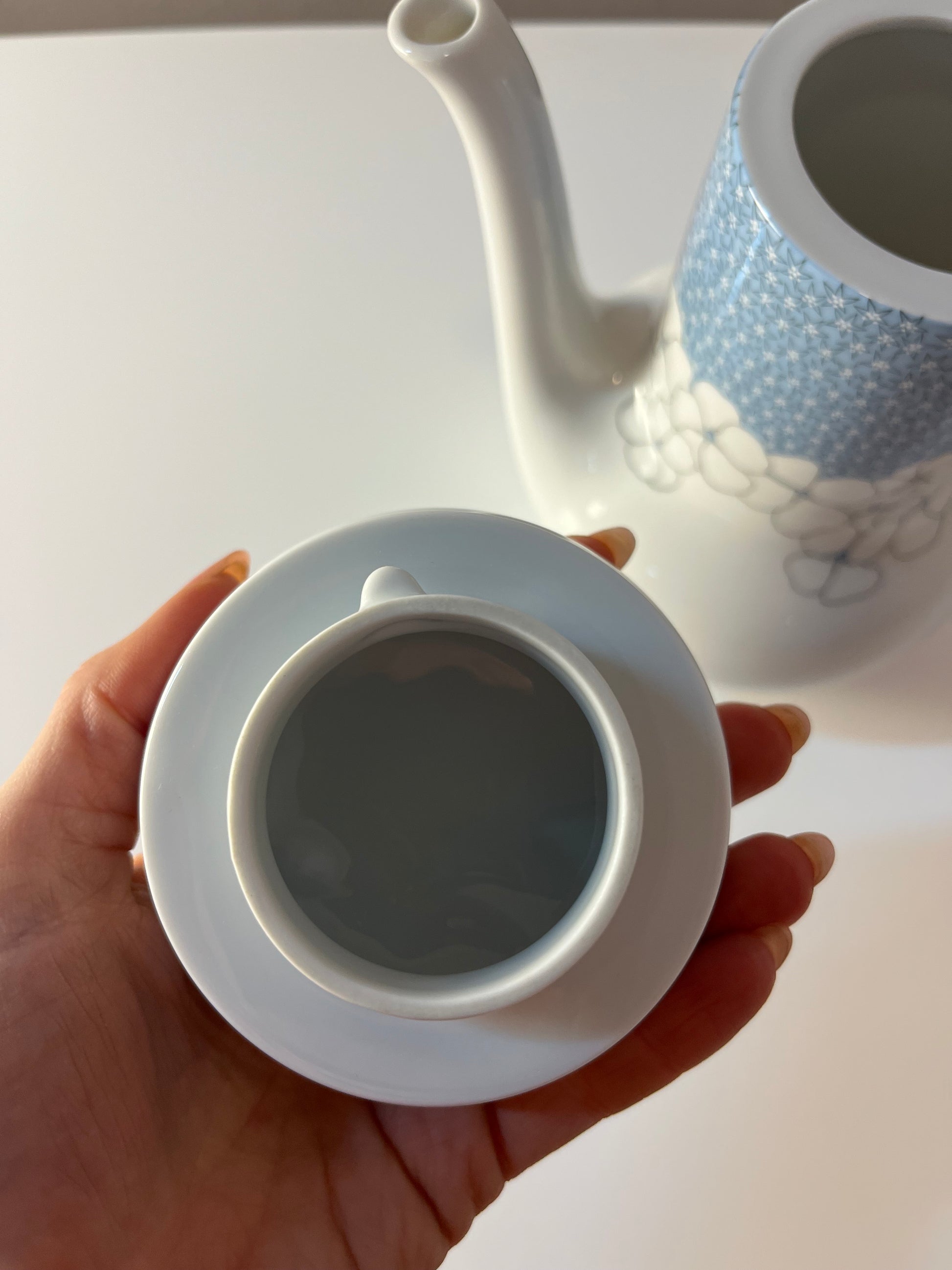 Kaffeekanne Kiruna Garden weiß blau von Tapio Wirkkala für Thomas