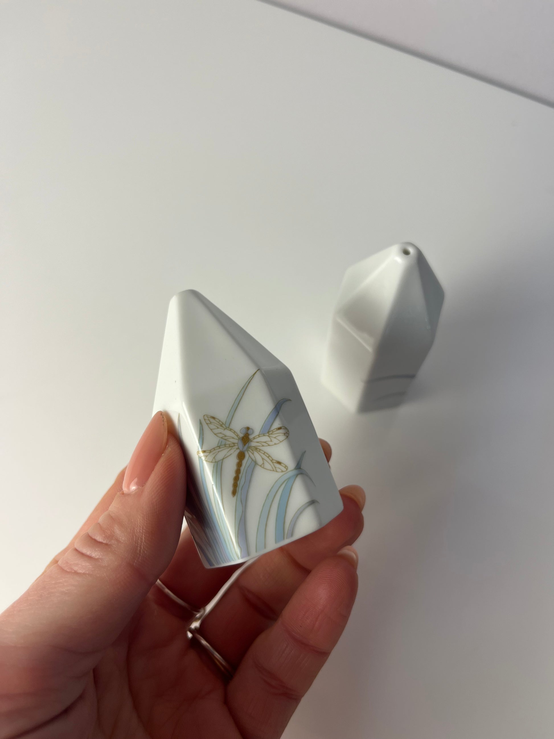 Set: Salz- & Pfefferstreuer Polygon Libelle von Tapio Wirkkala für Rosenthal Studio Line