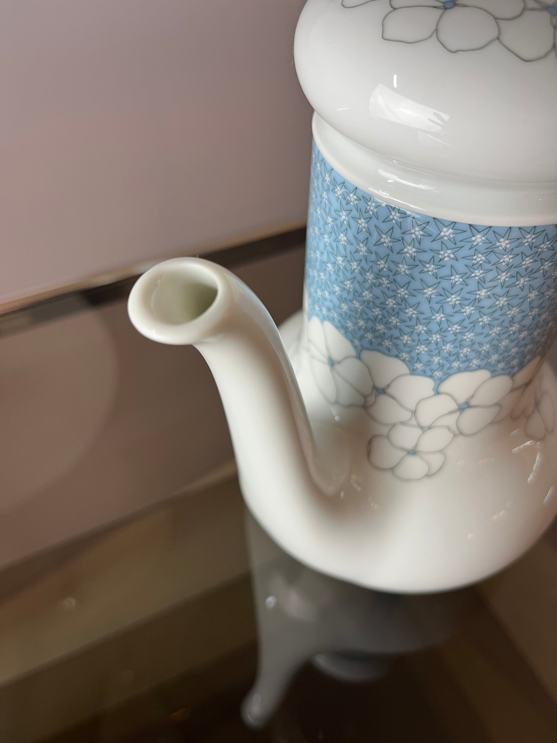 Set: Kaffeeservice Kiruna Garden weiß blau von Thomas