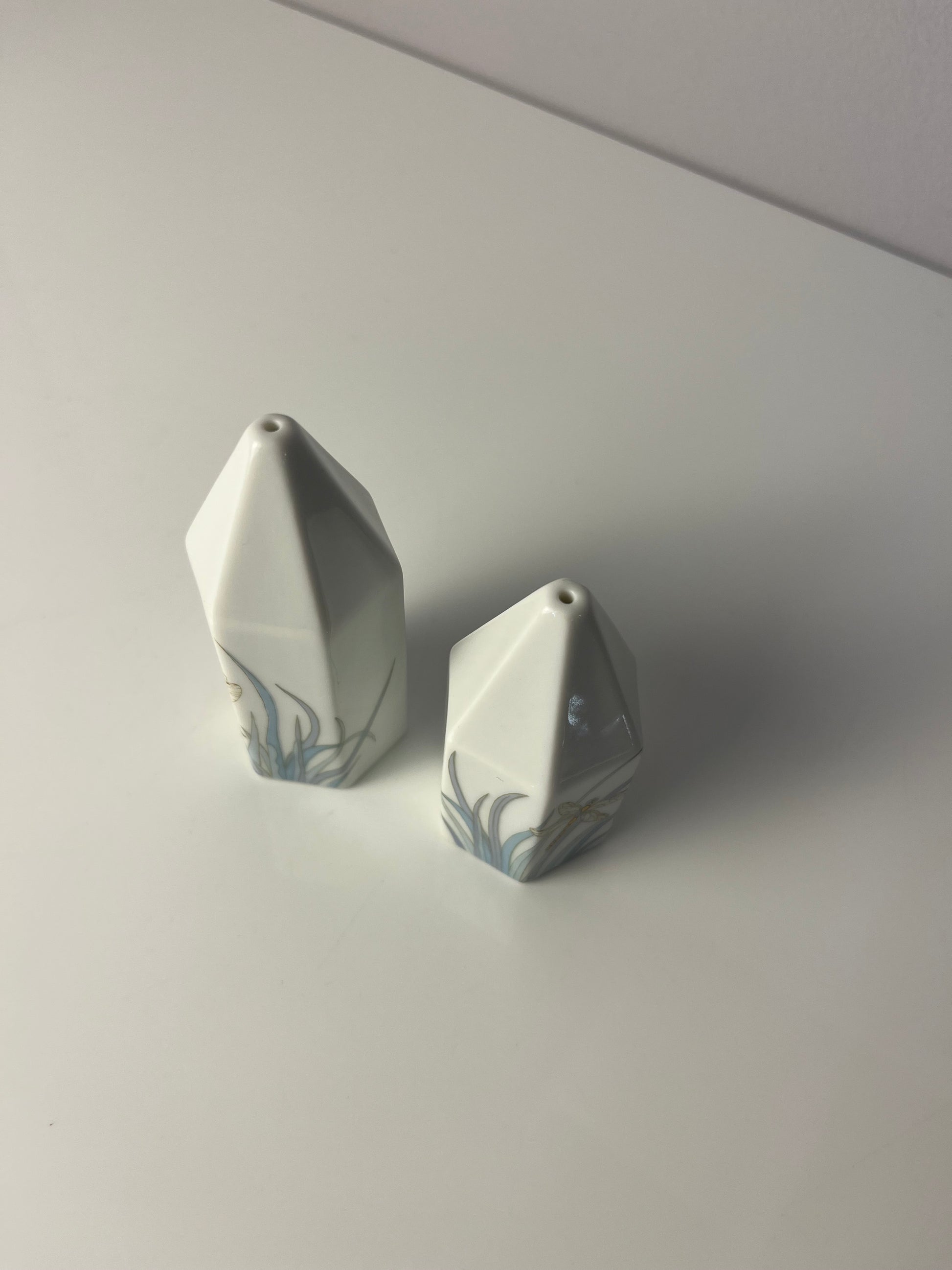 Set: Salz- & Pfefferstreuer Polygon Libelle von Tapio Wirkkala für Rosenthal Studio Line