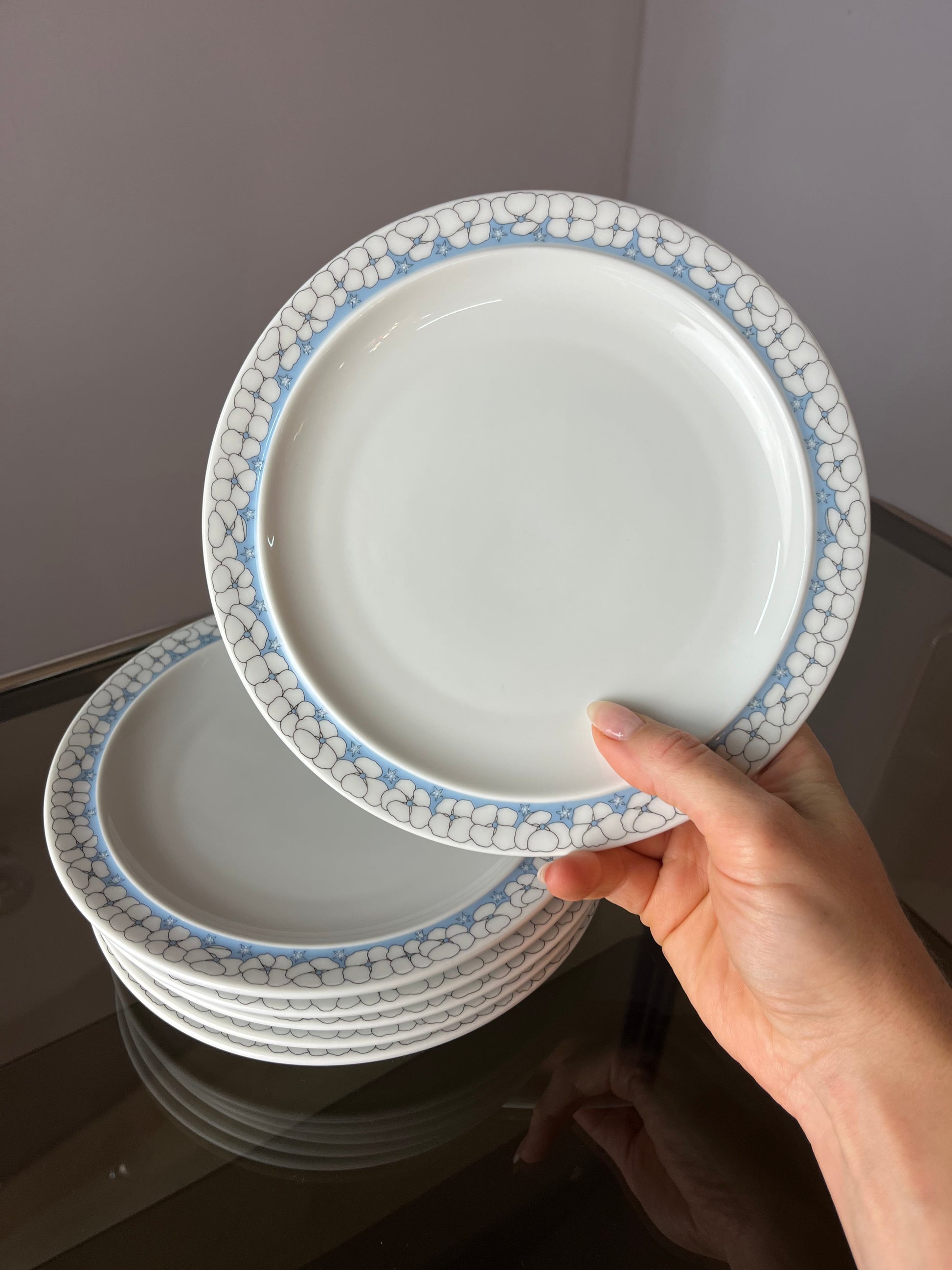 Set: 6x Kuchenteller Kiruna Garden weiß blau von Thomas