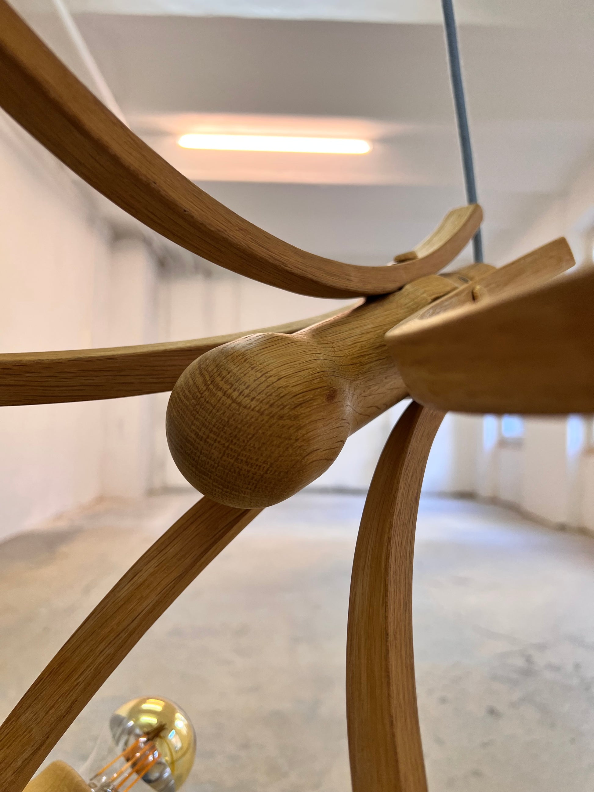 Kronleuchter Eiche von DOMUS