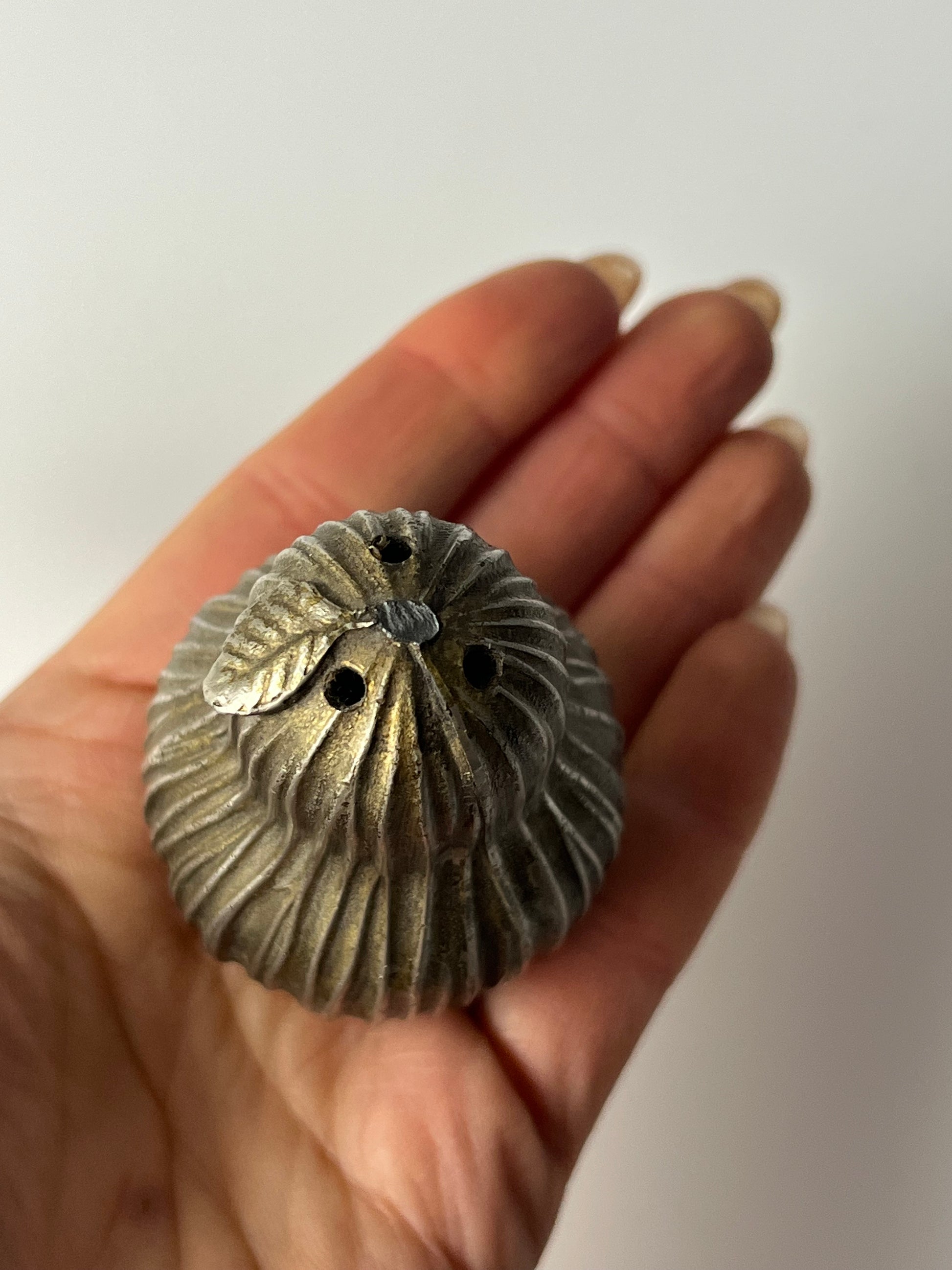 Set: Salz- und Pfefferstreuer Apfel und Birne aus Italien