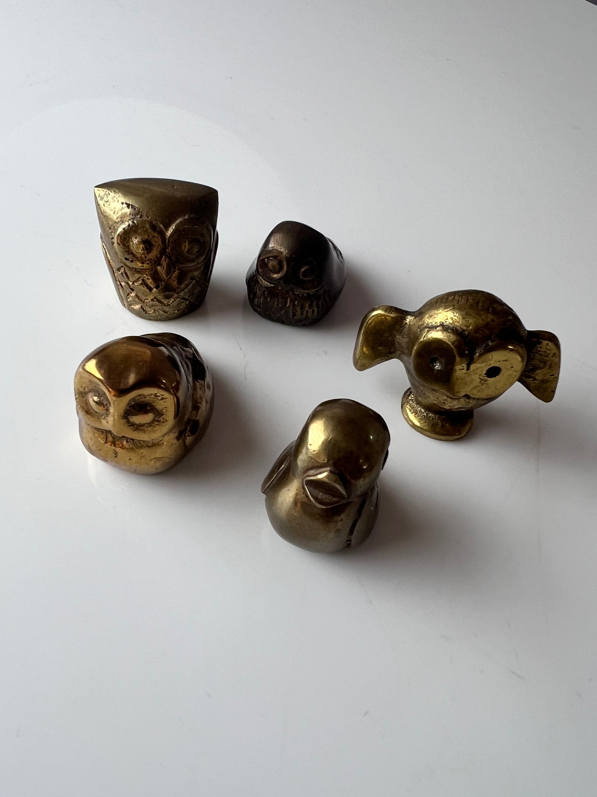 Set: 5 Eulen Messing für Setzkasten