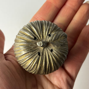 Set: Salz- und Pfefferstreuer Apfel und Birne aus Italien