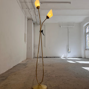 Stehlampe mit zwei Schwanenhalsarmen Messing