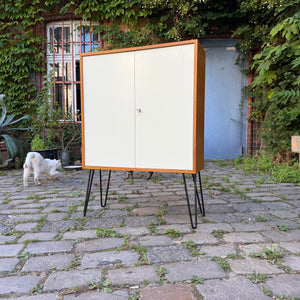 Schrank mit Schloss & neuen Hairpinlegs