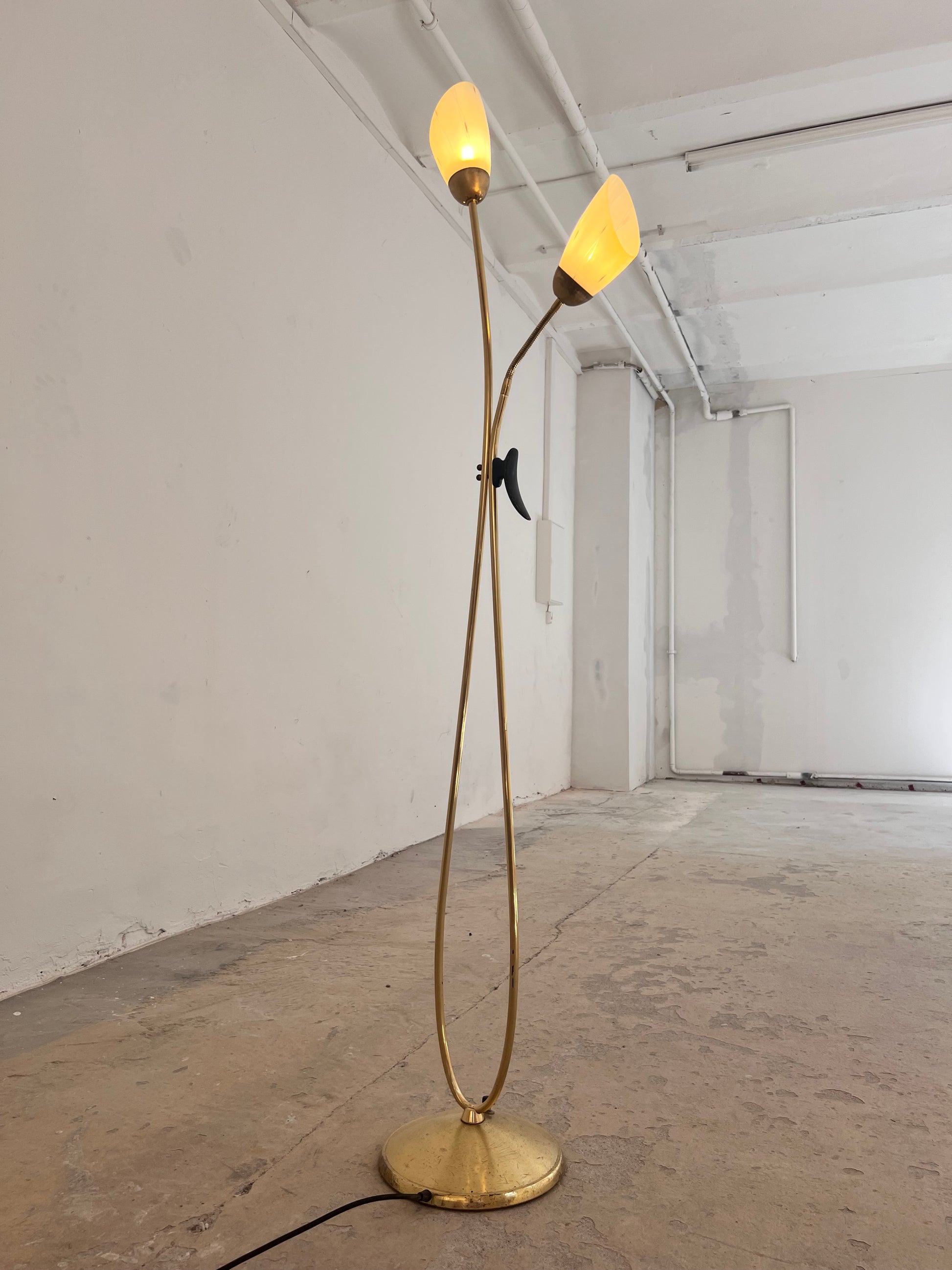 Stehlampe mit zwei Schwanenhalsarmen Messing