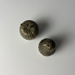 Set: Salz- und Pfefferstreuer Apfel und Birne aus Italien