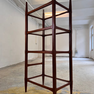 Regal Teak mit Acrylglasplatten aus Däenmark