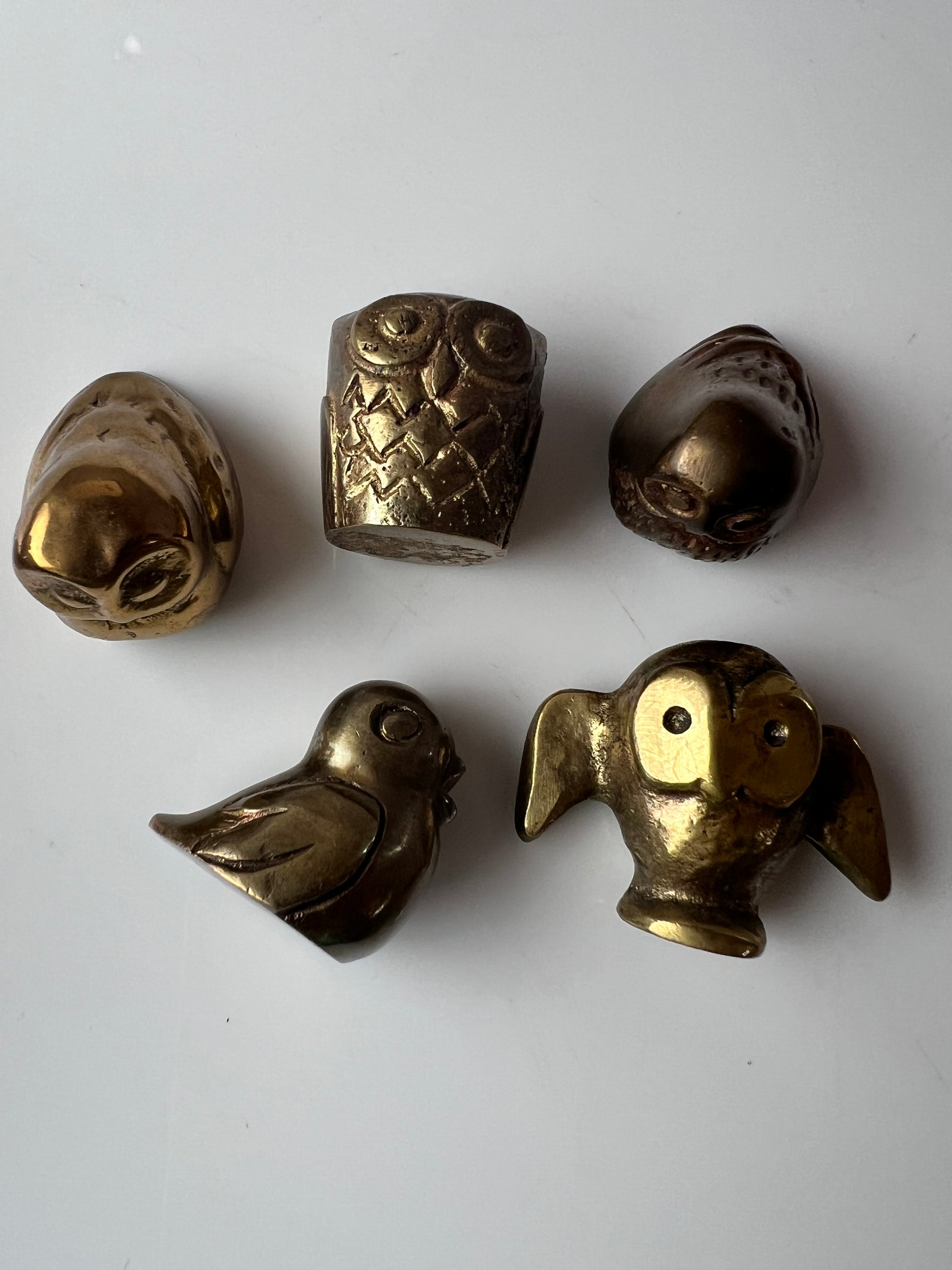Set: 5 Eulen Messing für Setzkasten
