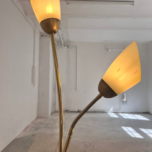 Stehlampe mit zwei Schwanenhalsarmen Messing