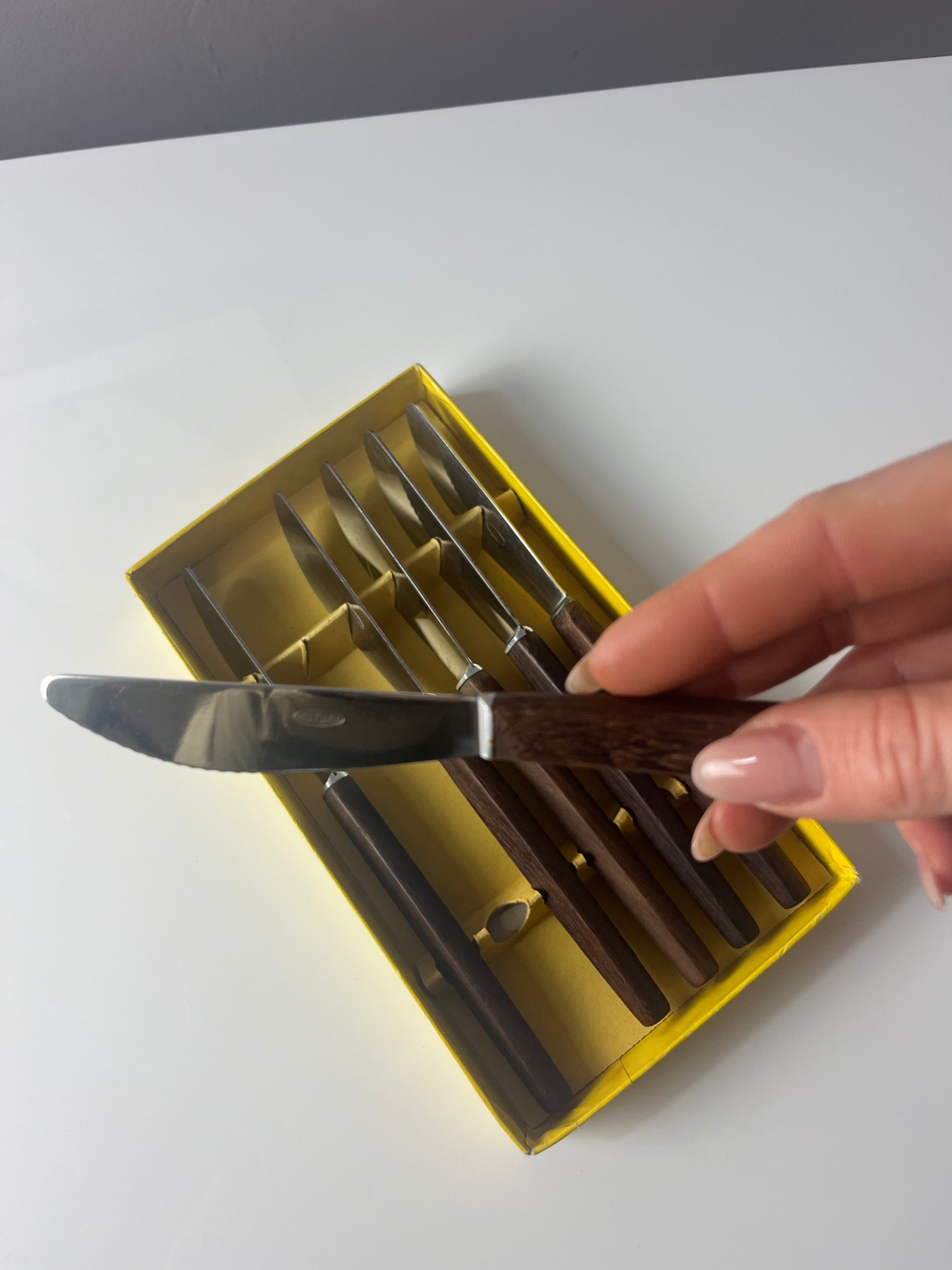 Set: 6x Buttermesser Teak in Box