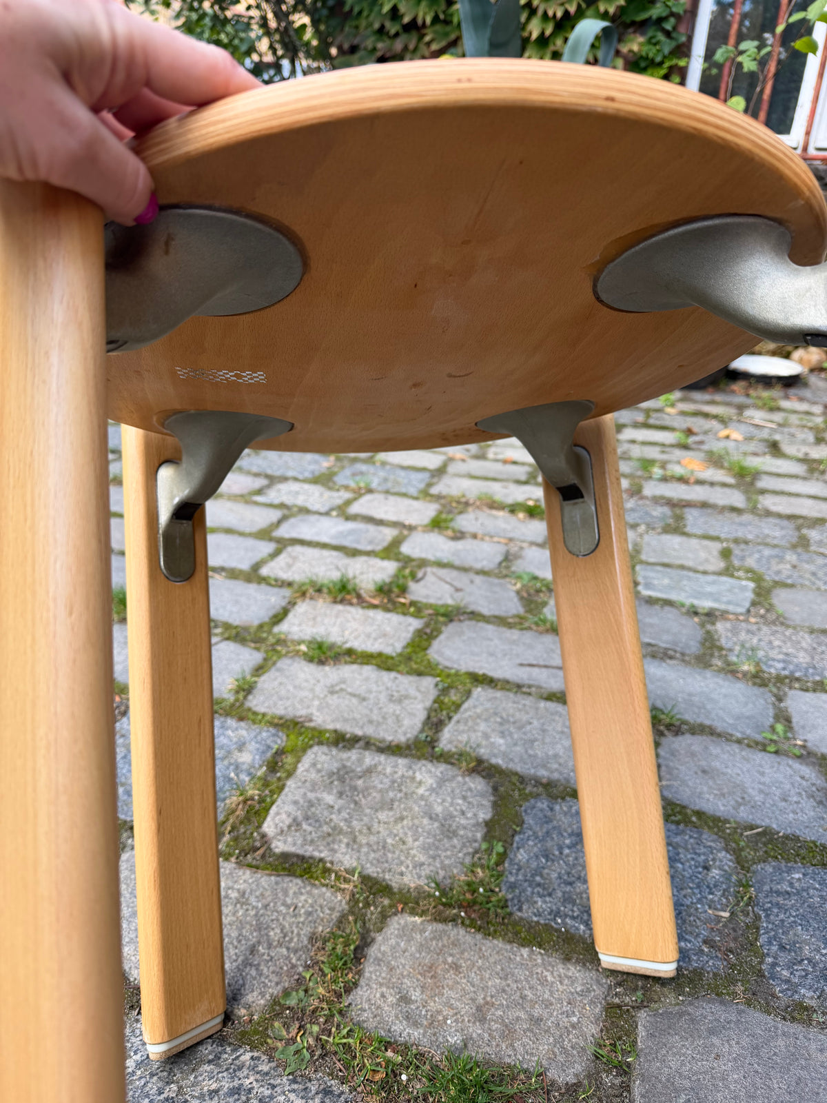 Rey Chair Buche von Bruno Rey