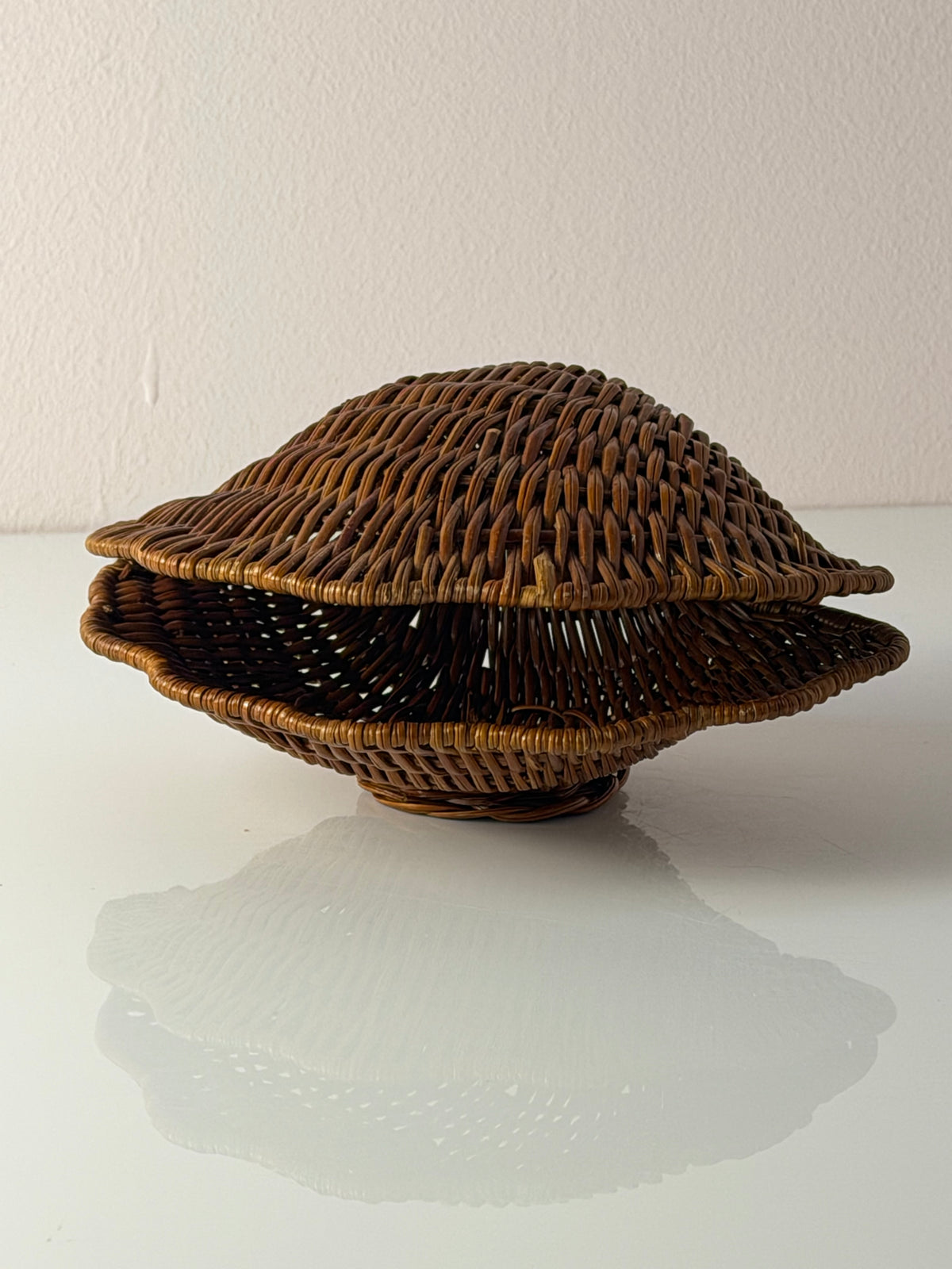 Muscheldose auf geflochtener Weide