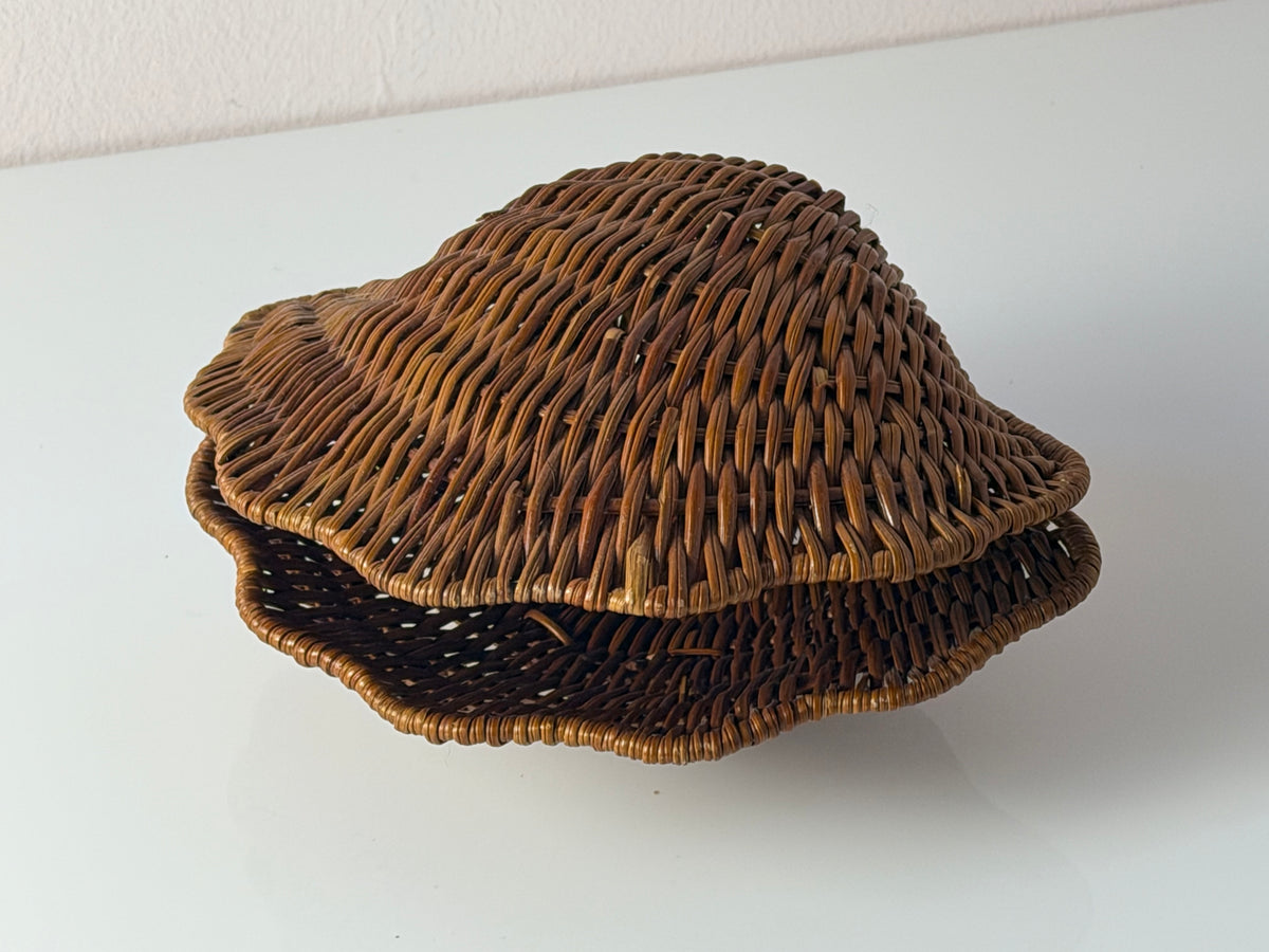 Muscheldose auf geflochtener Weide