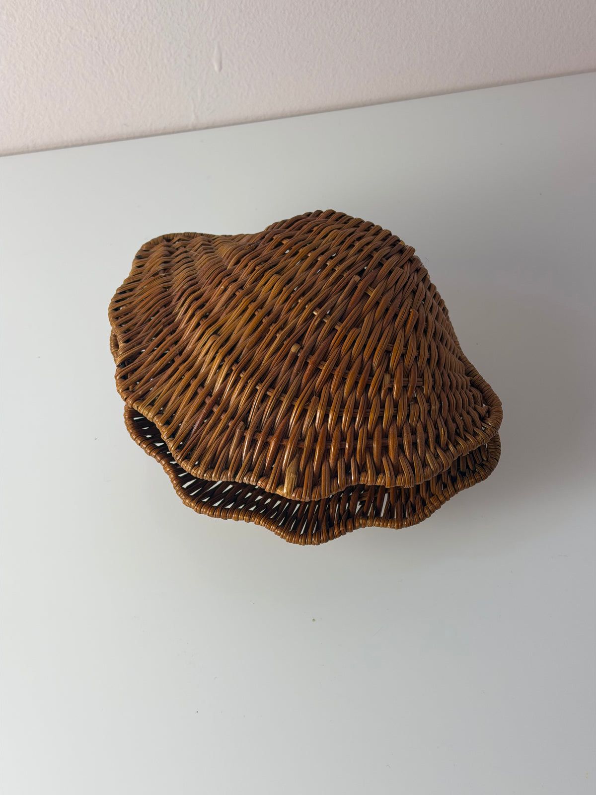 Muscheldose auf geflochtener Weide