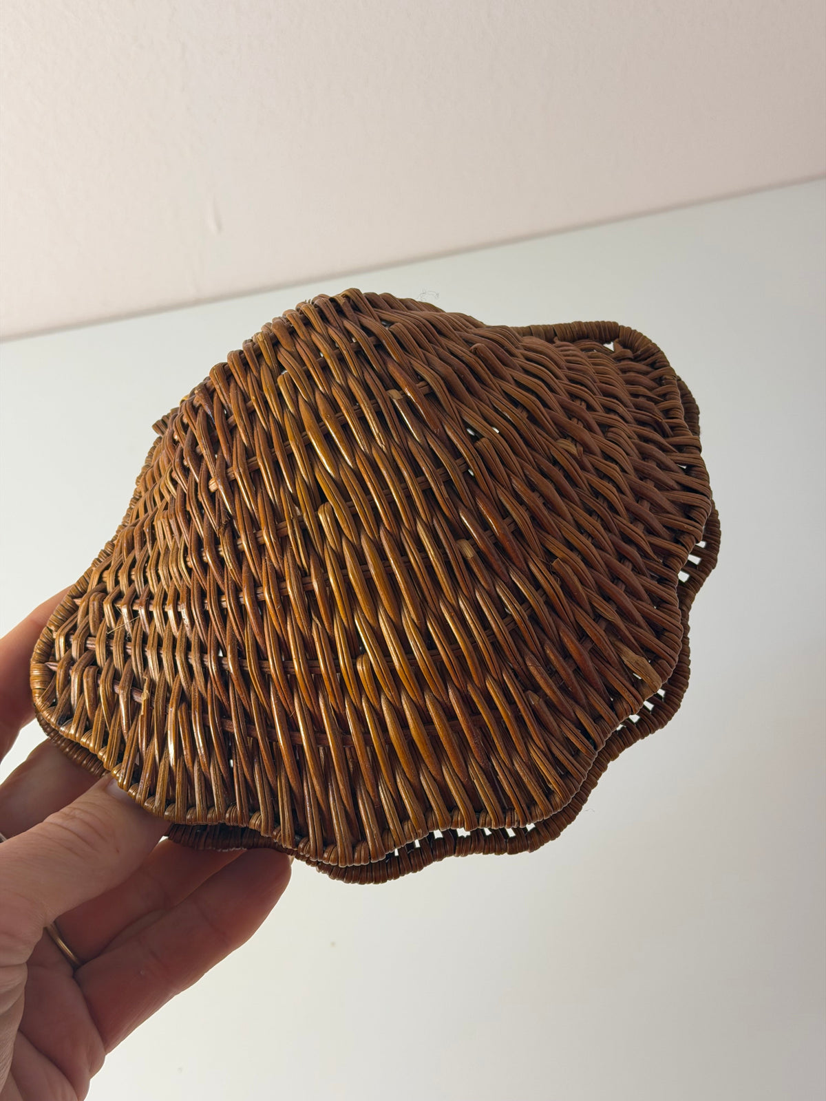 Muscheldose auf geflochtener Weide