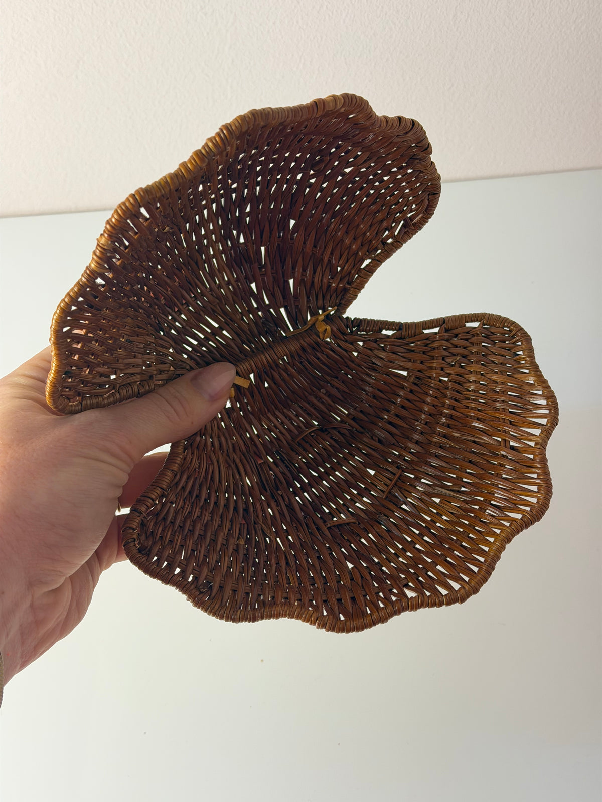 Muscheldose auf geflochtener Weide