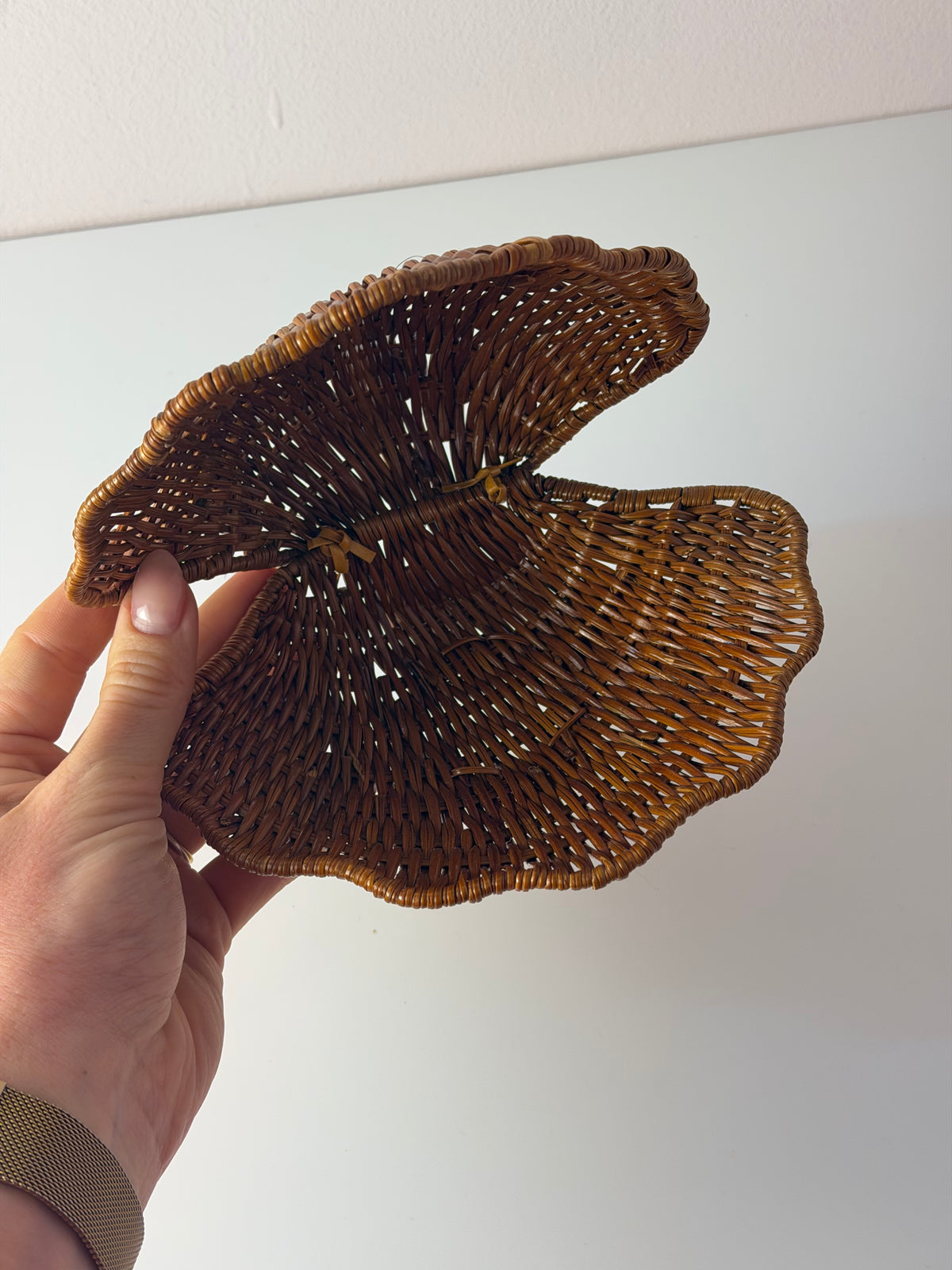 Muscheldose auf geflochtener Weide