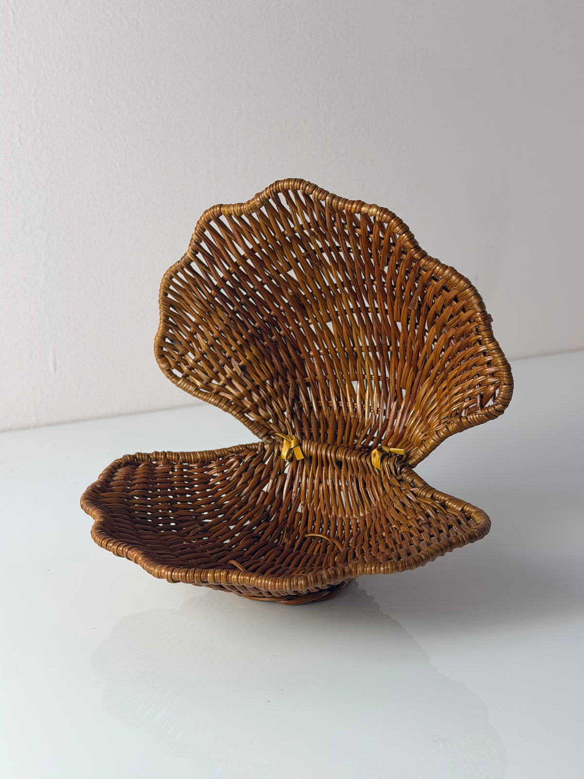 Muscheldose auf geflochtener Weide