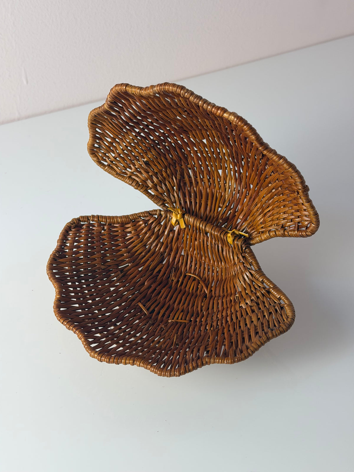 Muscheldose auf geflochtener Weide