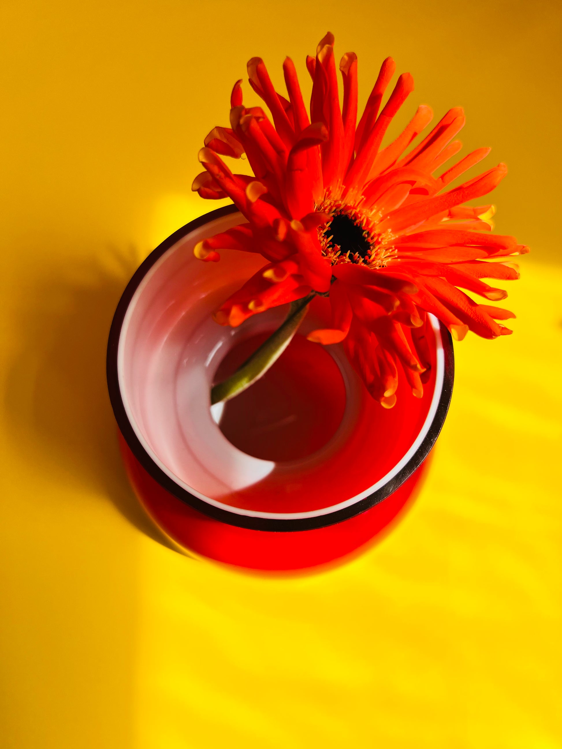 Vase Gloria rot von Holmegaard